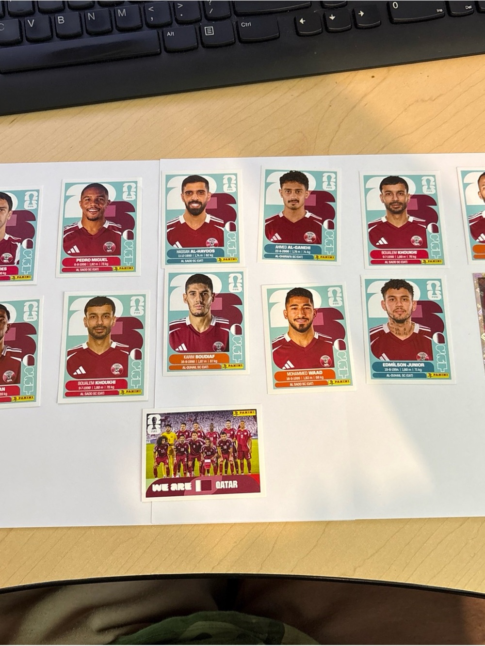 FIFA WC 2026 Panini Qatar National Team Collectible Sticker